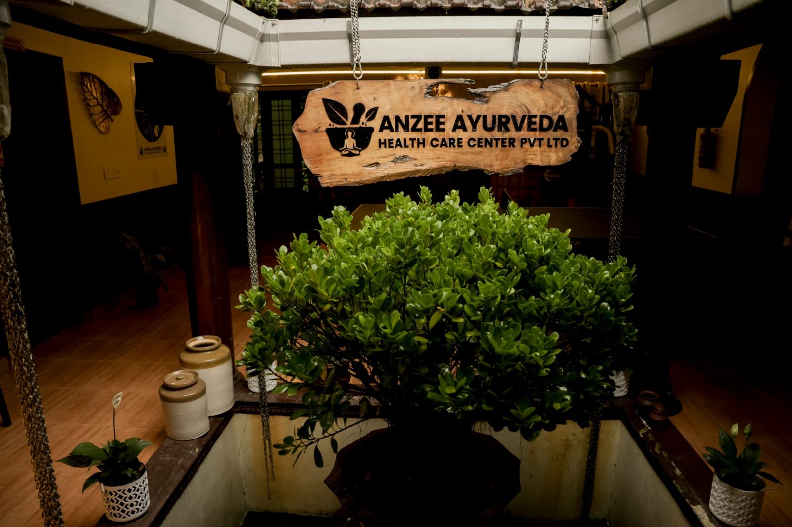 Anzee Ayurveda healthcare and wellness