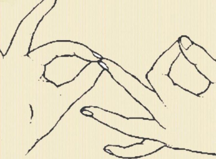 Dharmachakra Mudra hand gesture with both hands forming circles