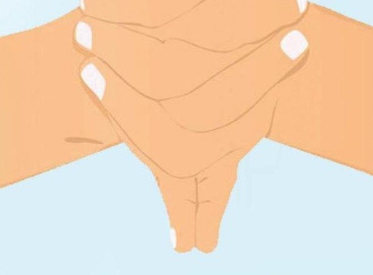 Murti Mudra hand gesture with one hand cupped around the other